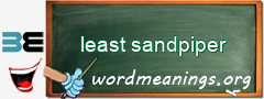 WordMeaning blackboard for least sandpiper